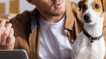 Pet Insurance Blog Header