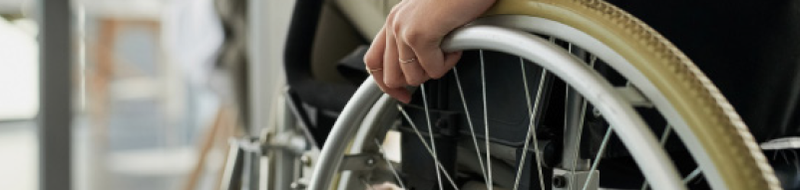 Disability Banner