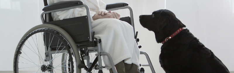 Screenshot 2025-11-21 at 9.14.03 AM