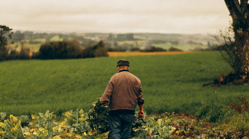 Tools + Intel Rural (1)